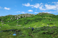 Brian Parsons: Long Range Mountains of Newfoundland, summer 2023