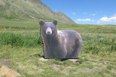 Dave Suttill - Bear Country. Humour category, 2023.