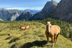 Ingo Lambrecht - Marmolada South Aspect Dolomites Italy. Mountain Scenery category, 2023.