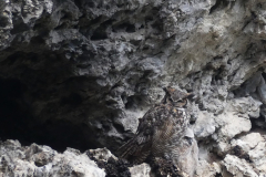 Christine Fordham: Closing this Climb (Honourable Mention, 2024 Nature category )