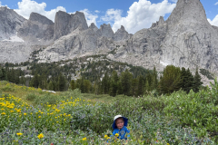 Honourable Mention, 2025 Activity in Summer - Erin Friderichs: sonflower