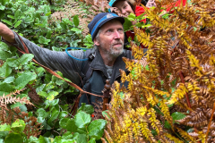 Honourable Mention, 2025 Humour - Mary Sanseverino: Some light bushwhacking