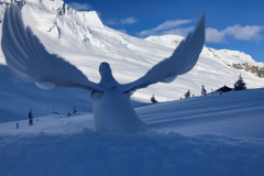 Co-Winner, 2025 Nature - Dave Fishwick: Asulkan Ptarmigan