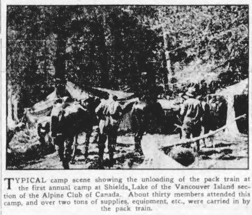 Typical camp scene showing the unloading of the pack train at the first annual camp at Shields Lake of the Vancouver Island section of the Alpine Club of Canada. About thirty members attended this camp, and over two tons of supplies, equipment, etc., were carried in by the pack train.