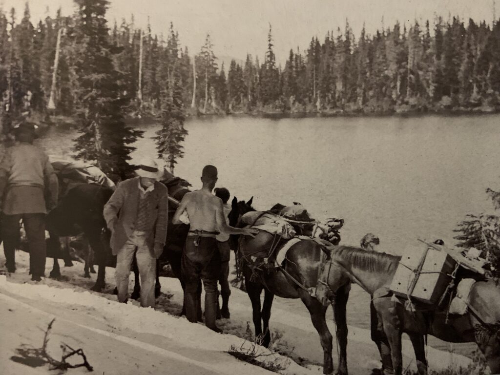 A horse team loaded with supplies and boxes of trout eggs for Forbidden Plateau lakes 1930