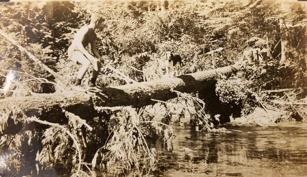 Brian Tobin and Drooler on a log crossing - Cecil Frampton photo.
