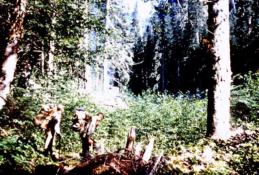 Hiking through the forest on the way to Mt. Colonel Foster 1957 - Karl Ricker photo.