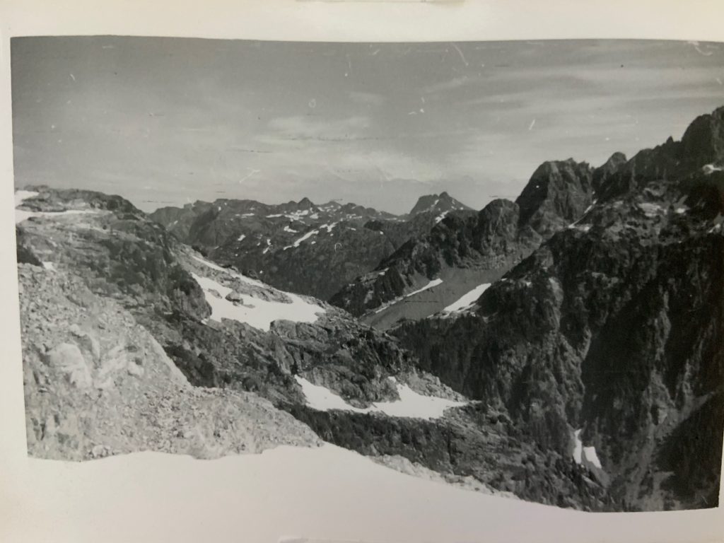 Looking up to the head of Drinkwater Creek. Mt. Harmston in the distance with Mt. Septimus on the right. 1953 – Syd Watts photo.