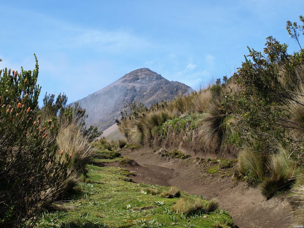 "El Corazón" means the heart, but the striking summit only resembles a heart with a little imagination.
