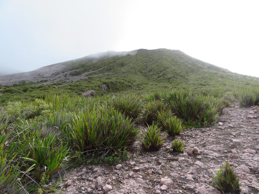 Looking towards the summit of Mount Balbi/Tutue on Bougainville Island 2020 – Graham Maddocks photo.