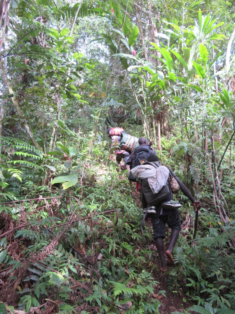 On the trail to Mount Balbi/Tutue 2020 – Graham Maddocks photos.