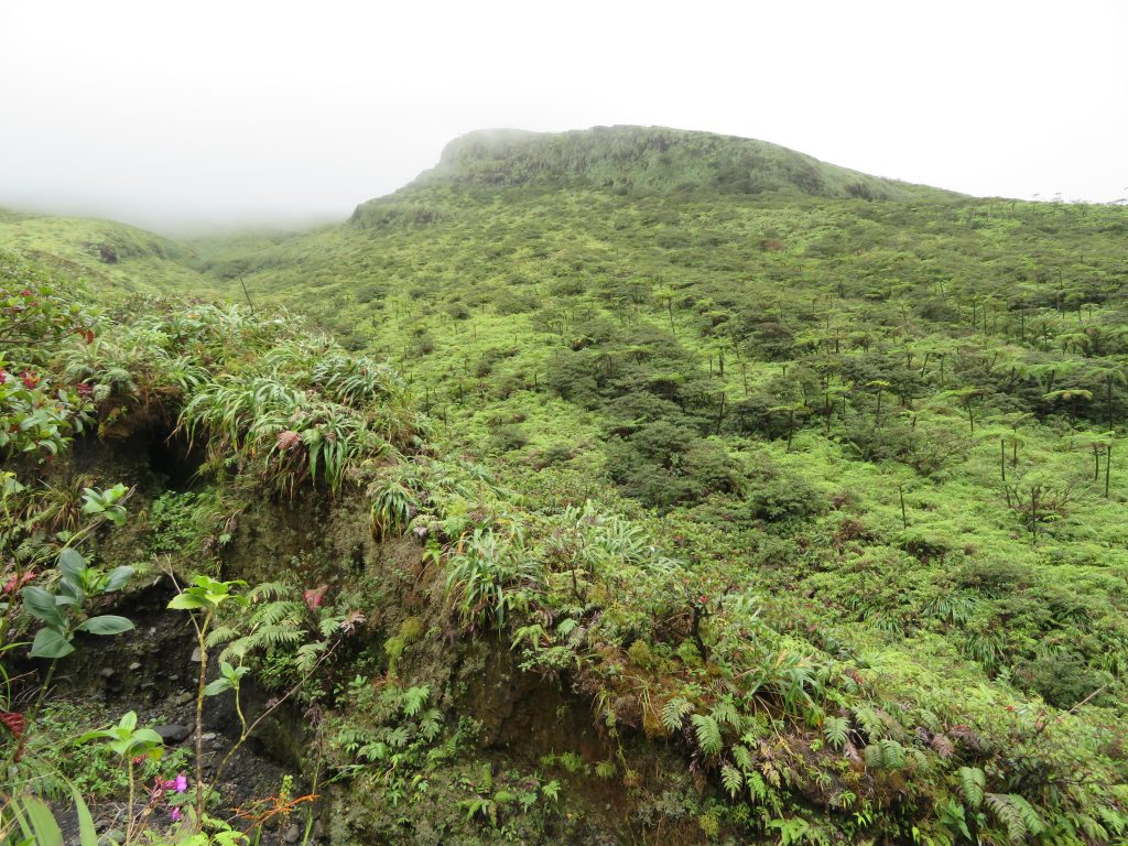 Nearing the summit of La Soufrière on the island of Saint Vincent 2018 – Graham Maddocks photo.