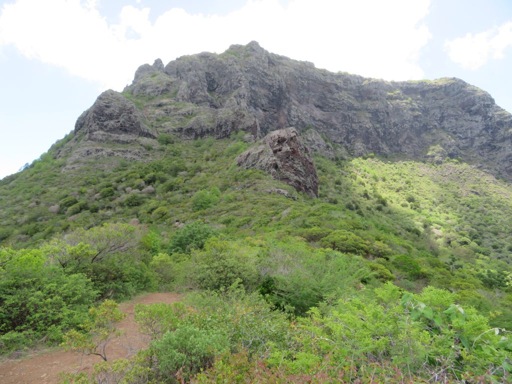 Looking up at the summit of Le Morne Brabant on Mauritius 2017 – Graham Maddocks photo.