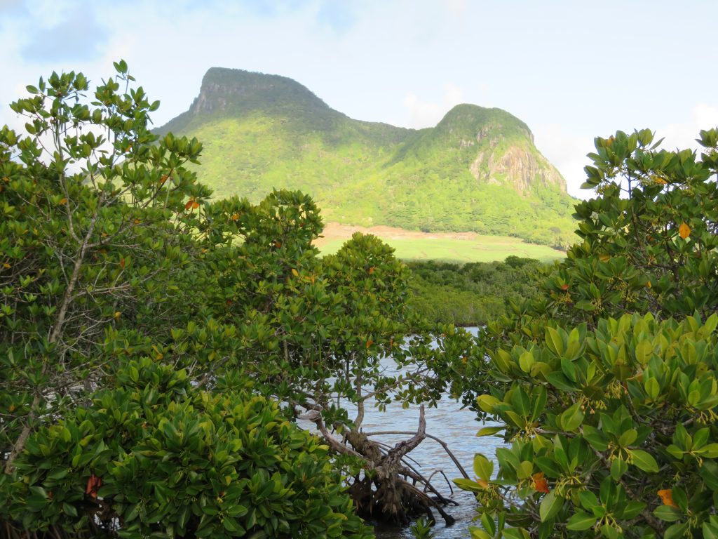 Looking up at Lion Mountain on Mauritius 2017. The mountain is said to resemble a sleeping lion and it is said that to climb it there are several ways to skin a cat – Graham Maddocks photo.