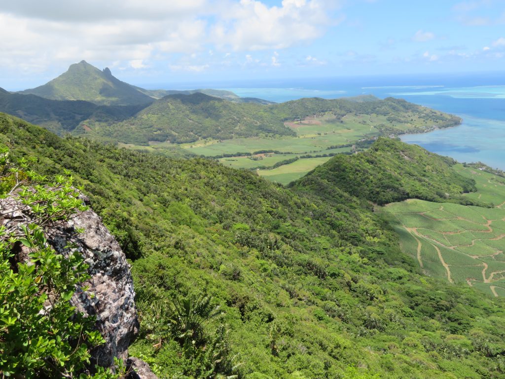 Near the summit of Lion Mountain on Mauritius 2017 – Graham Maddocks photo.