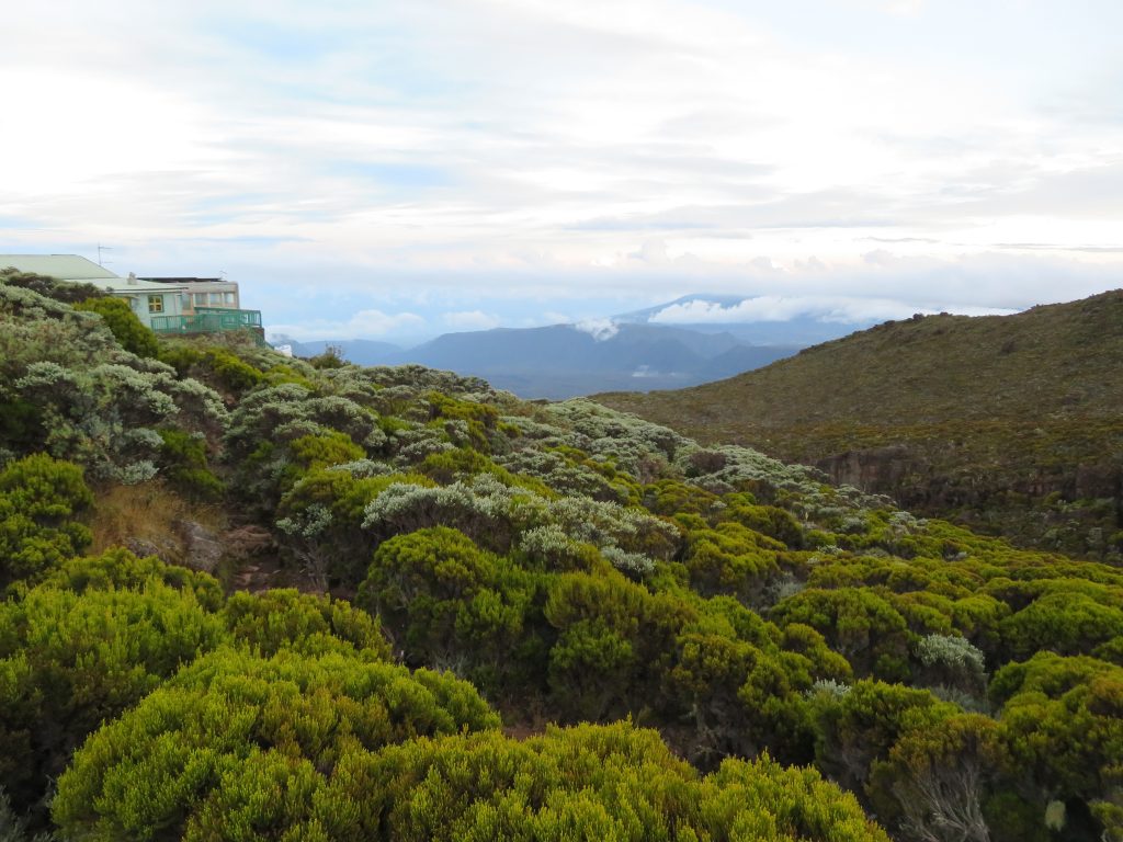 The refugio on Piton des Neiges 2017 – Graham Maddocks photo.