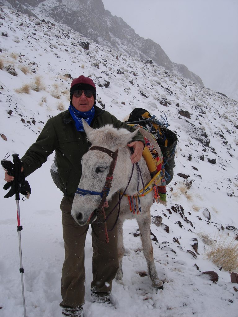 Graham Maddocks and his packhorse on Jebel Toubkal 2011 – Graham Maddocks photo.