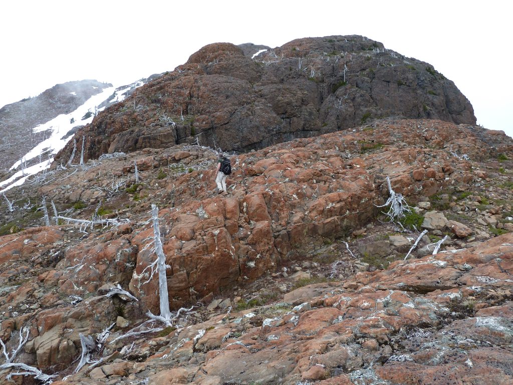 Remnants of the 1965 fire near the summit of Hkusam Mountain 2010 – Lindsay Elms photos.