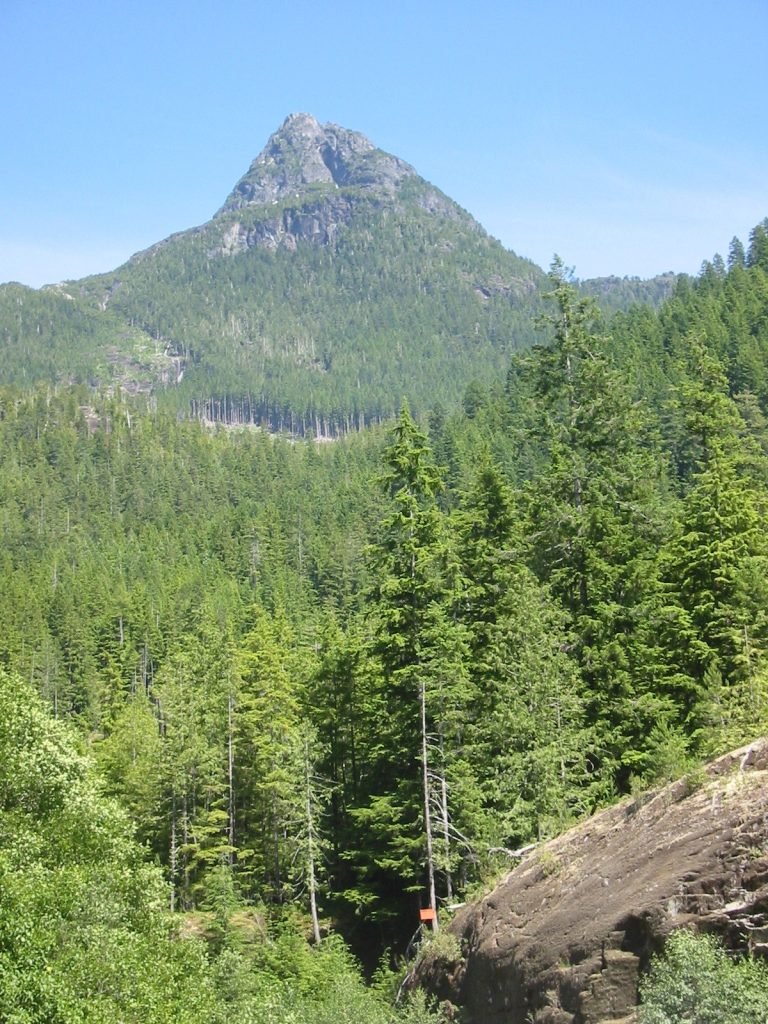 Conuma Peak 2020 – Lindsay Elms photo.
