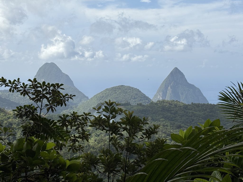 Looking at La Gros Piton and La Petit Piton from the summit of Mount Gimie in St. Lucia 2025 – Lindsay Elms photo.
