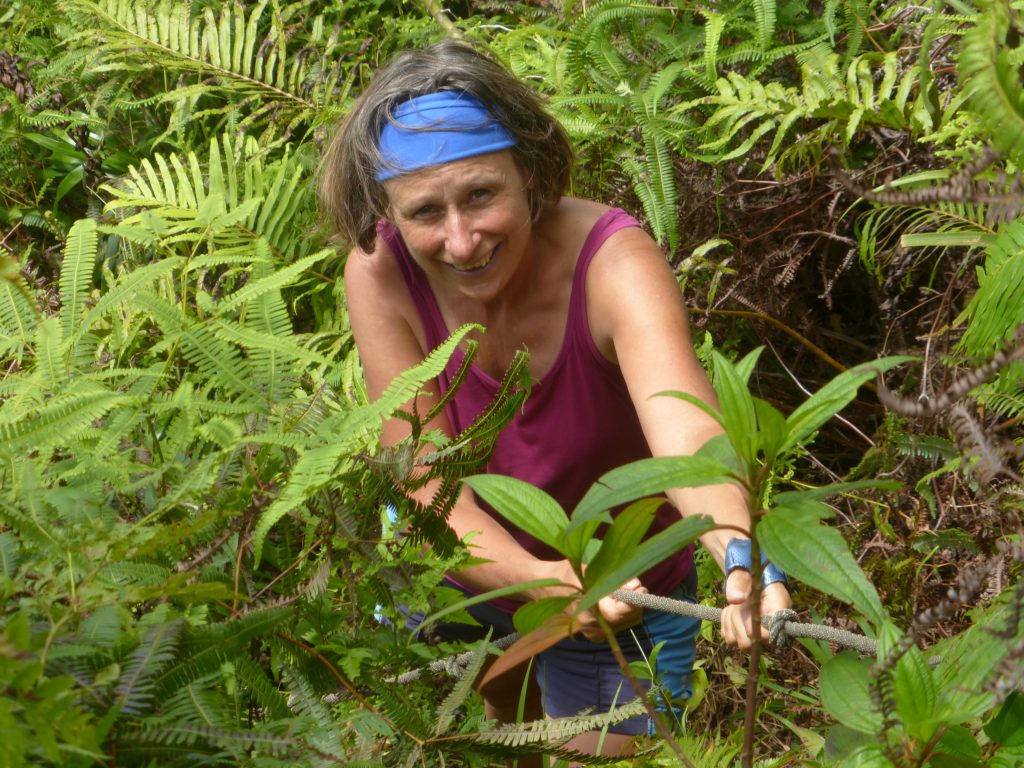 Valerie Wootton negotiates the rope section near the summit of Te Kou 2016 – Lindsay Elms photo.