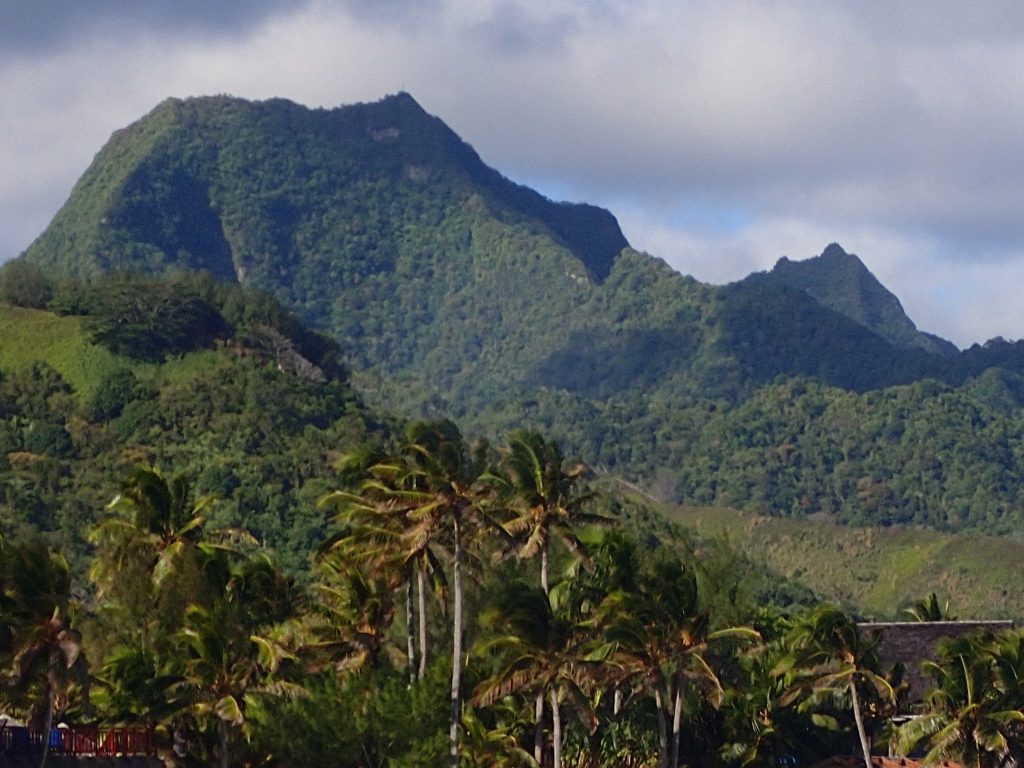 Te Kou 2016 – Lindsay Elms photo.