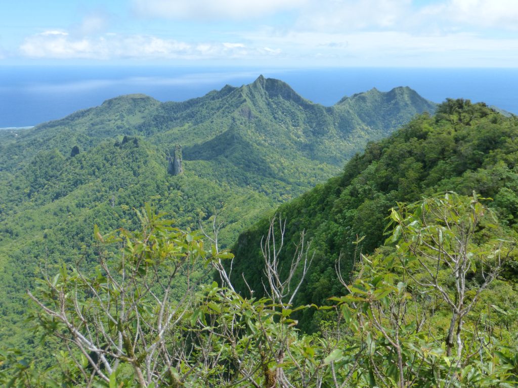 The view from the summit of Te Kou on Rarotonga 2016 – Lindsay Elms photo.