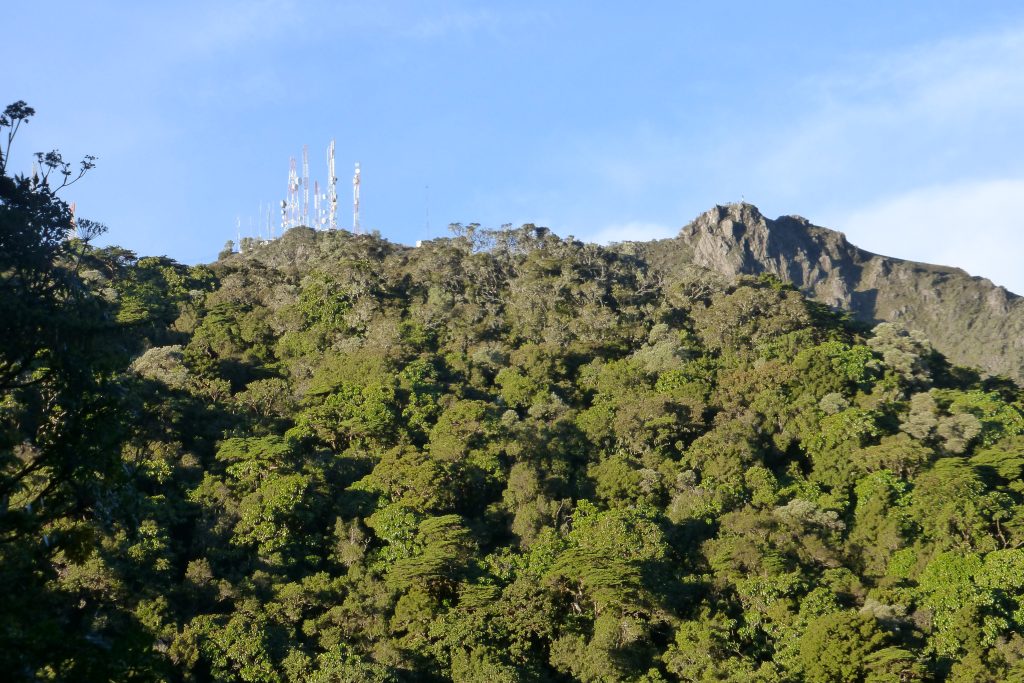 Looking up at the summit of Volcan Baru in Panama 2018 – Lindsay Elms photo.