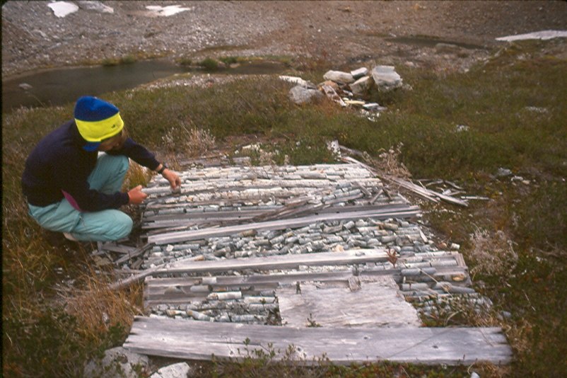 Rosanne Van Shie examining old core samples in the basin below Big Interior Mountain 1994 – Lindsay Elms photo