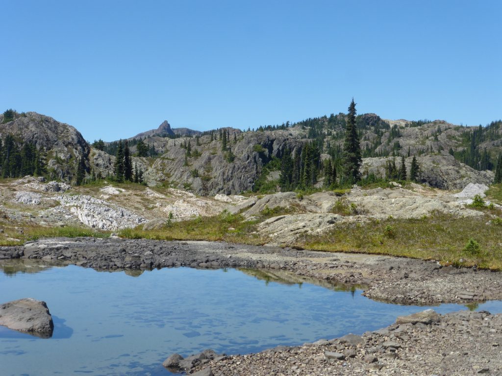 Marble Meadows looking towards Morrison Spire 2015 – Lindsay Elms photo.