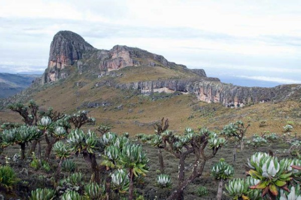 Mt. Elgon is an extinct shield volcano on the border between Uganda and Kenya.