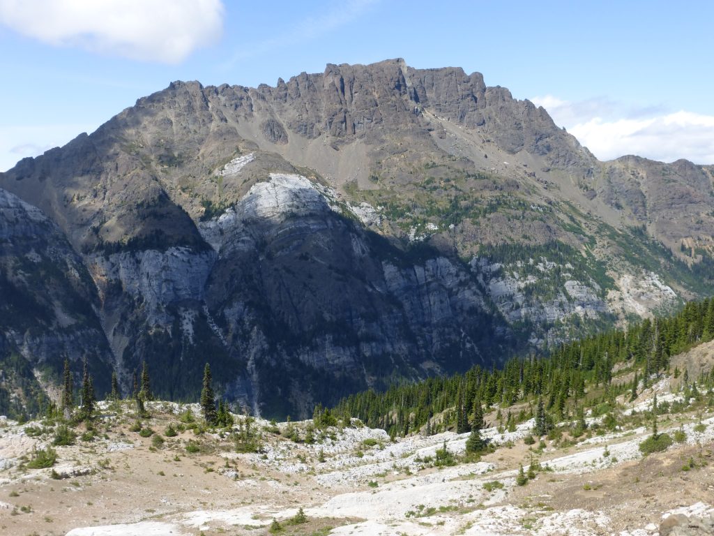 Mt. McBride from Marble Meadows 2015 – Lindsay Elms photo.