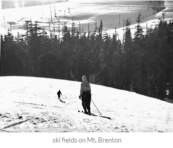 Ski fields on Mt. Brenton