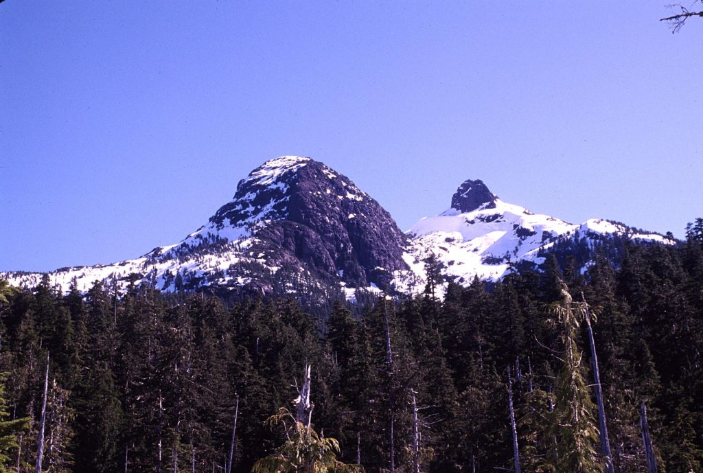 Looking up at Pinder Peak and Pinder Horn from the Apollo Main logging road 1999 - Sandy Briggs photo.