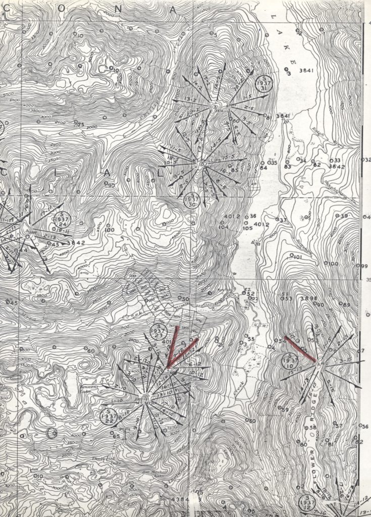 Map showing site of survey stations along southern end of Buttle Lake.