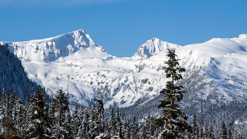 Mt. Albert Edward and Mt. Regan in mid-winter – Tim Penney photo.