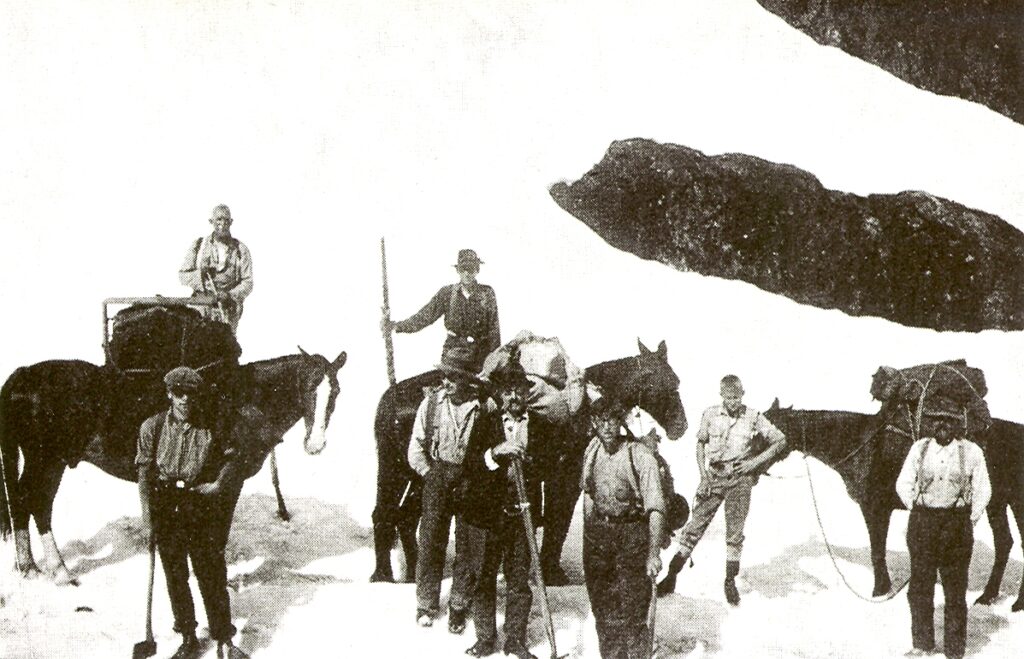 Packhorses carrying supplies to the Mt. Becher cabin in the late 1920’s
